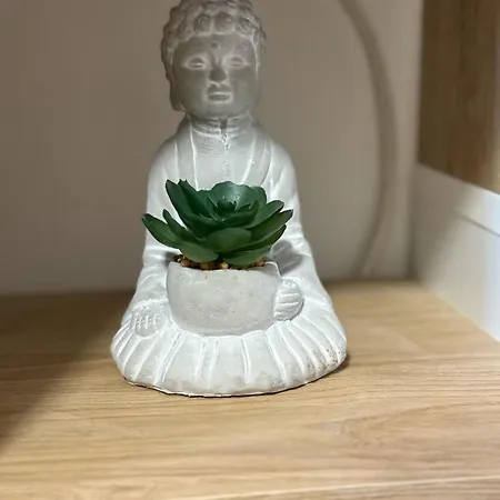 Apartament Casa Maje